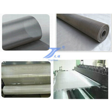 Stainless Steel Wire Mesh (TS-W114)